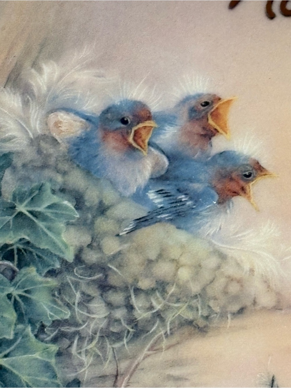 Bradford Exchange collector plate birds November Lena Liu Bless This House - Picture 5 of 5